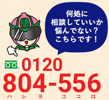 0120-804-556　ハレヨ　ココロ